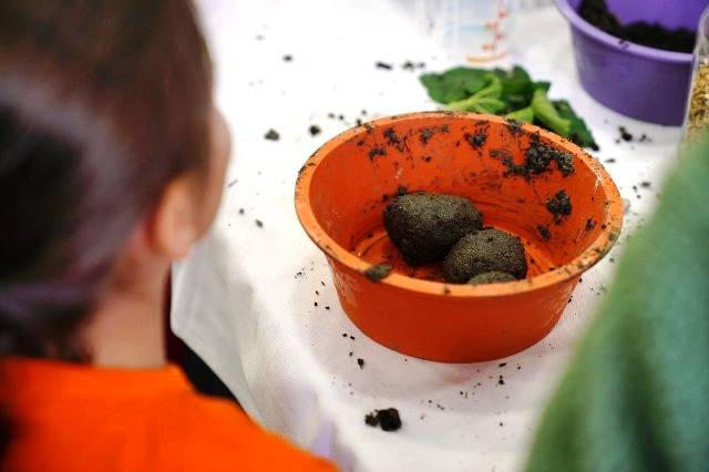 Mahalleevleri Doğayla Birlikte Üretiyor, Geleceğe Tohum Oluyor.