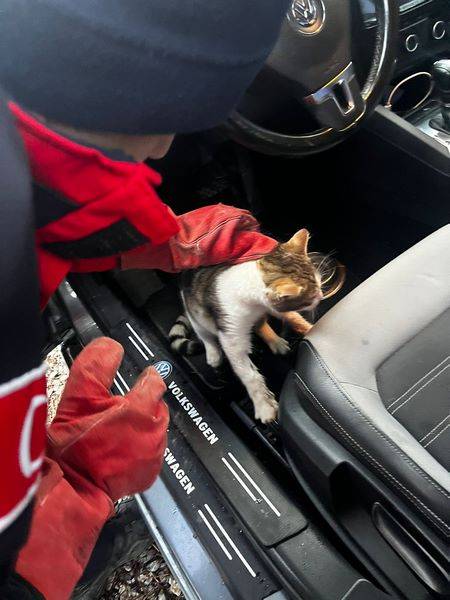 Burhaniye’de Araç İçinde Mahsur Kalan Kedi Kurtarıldı