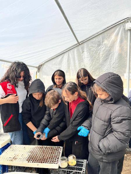 Marmara İlçesinde Öğrencilere Uygulamalı Sera Eğitimi Verildi