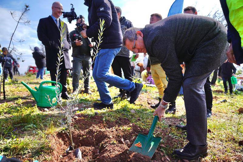 Ayvalık’ta Geleceğe Nefes: 150 Fıstık Çamı Toprakla Buluştu
