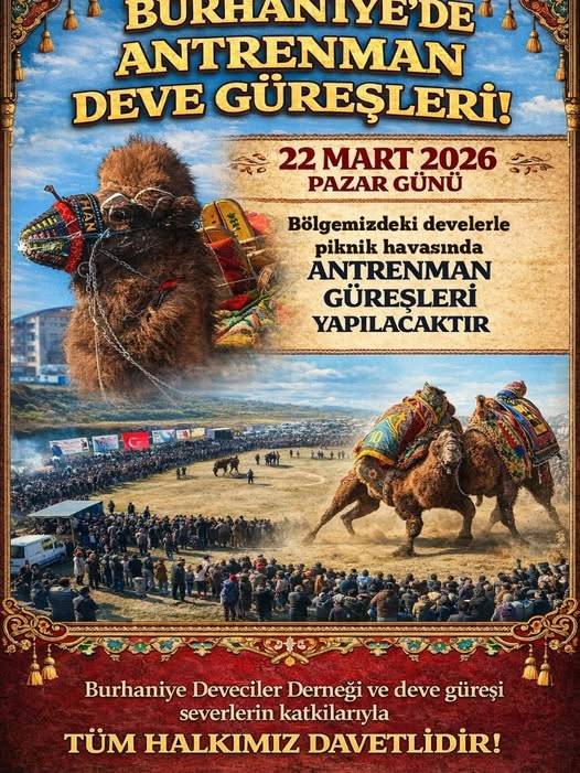 Burhaniye’de Pazargünü deve güreşi yapılacak