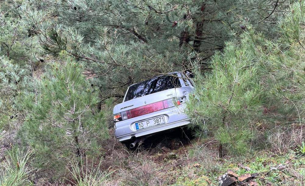 Tarlaya giren otomobil çam ağacına çarptı: Sürücü ortada yok