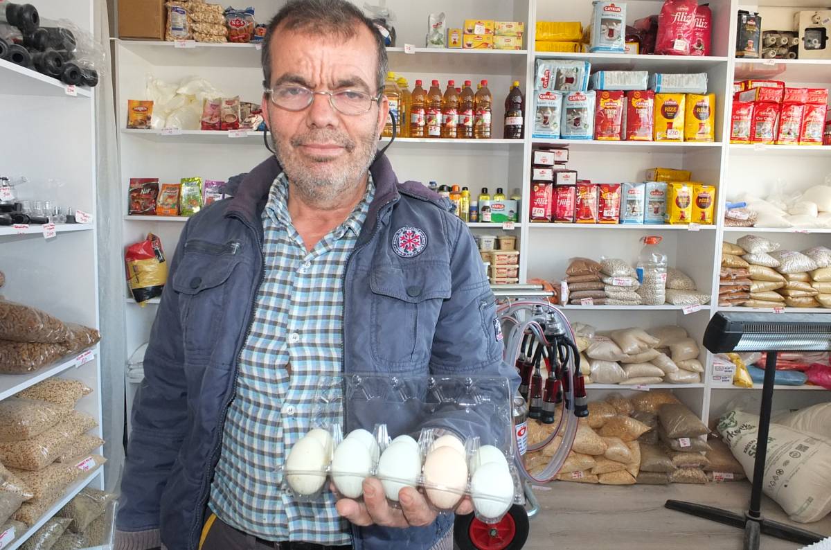 Burhaniye’de mavi yumurtalar ilgi gördü