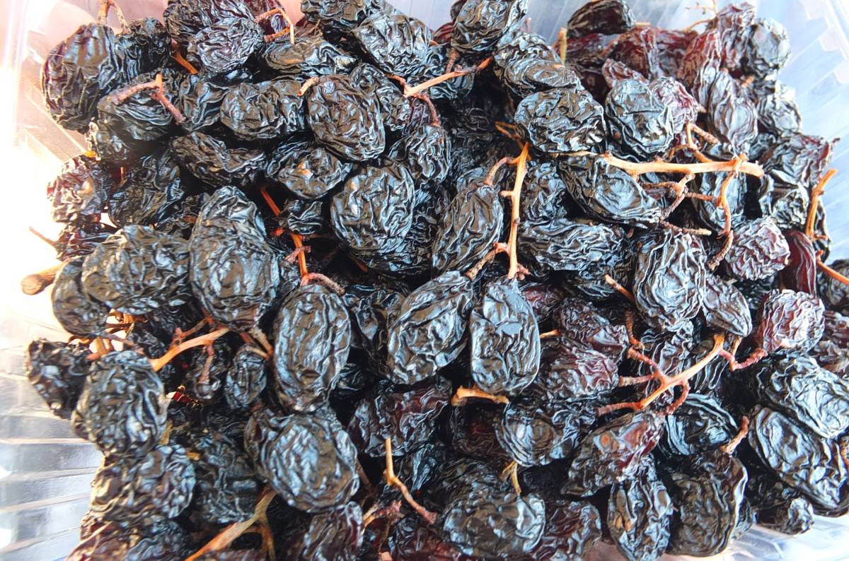 Burhaniye’de Çekirdekli Siyah Kan Üzümü ilgi gördü