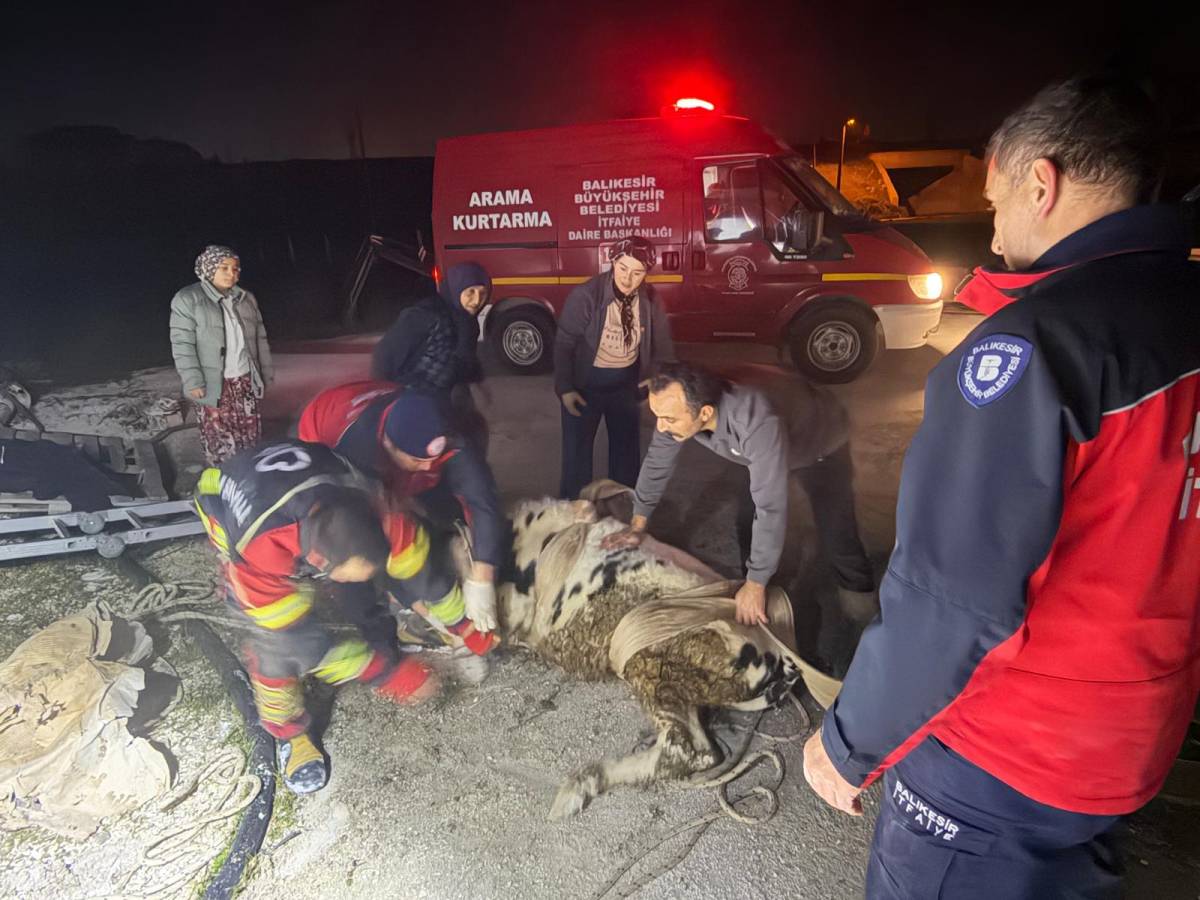 Kepsut’ta kuyuya düşen büyükbaş hayvanı itfaiye kurtardı