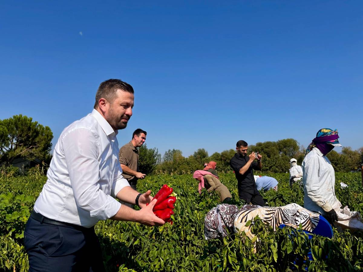 Balıkesir Tarımında Bayram Havası: 867 Milyon TL’lik Dev Destek Hesaplara Yatıyor!