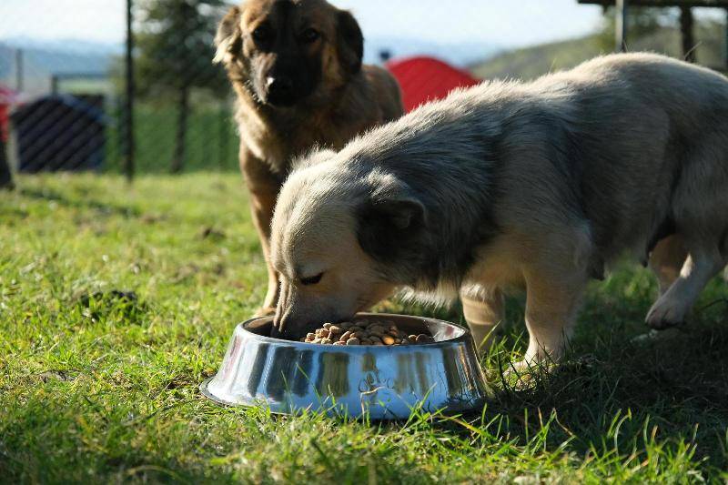 2 Yılda Her Alanda Altıeylül’e Değer Katan Projeler