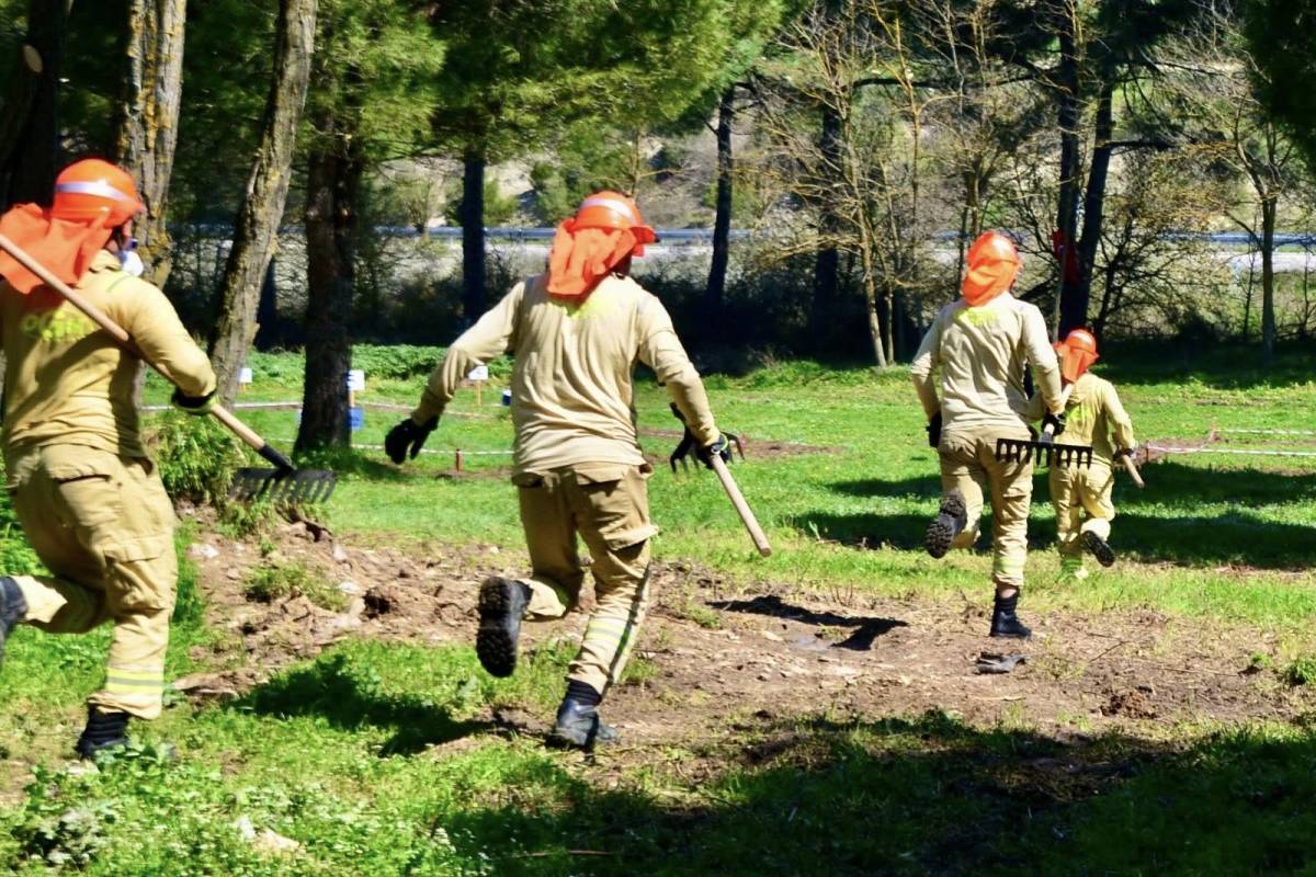 Balıkesir’de “Türkiye Ormancılık Yarışmaları” İşletme Müdürlükleri Etabı Tamamlandı