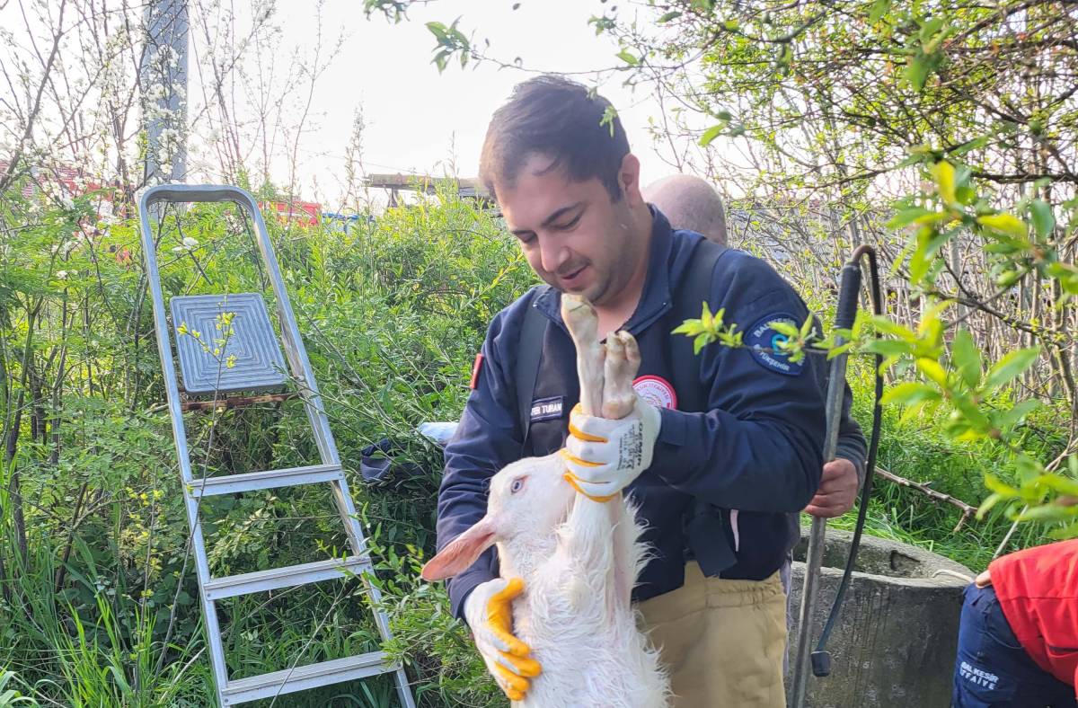 Manyas’ta kuyuya düşen oğlağı itfaiye kurtardı