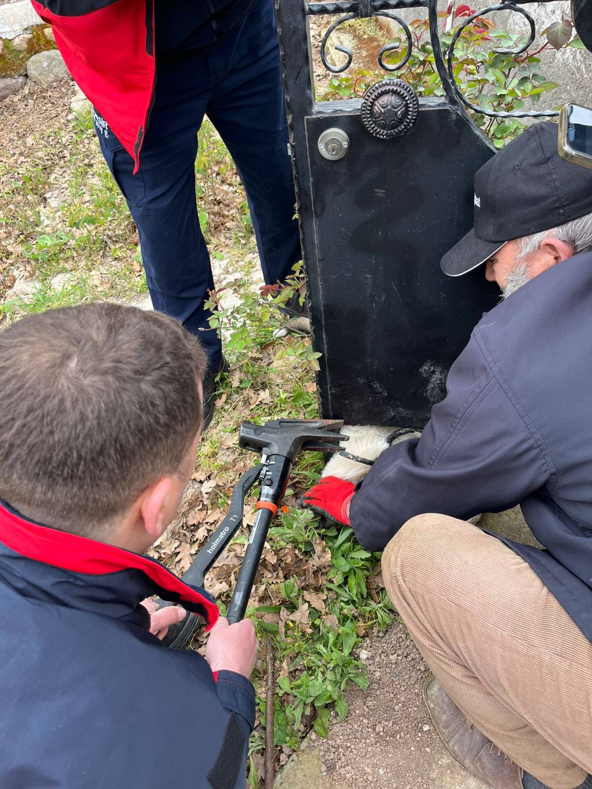 Kafası kapıya sıkışan köpek kurtarıldı