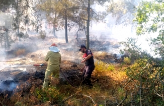 Balıkesir’in iki ilçesinde orman yangını çıktı