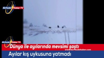 Kazdağı'nda yaban hayatının da dengeleri değişti