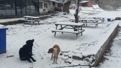 Balıkesir’de lapa lapa kar yağışı geri döndü