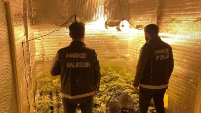 Ayvalık'ta apartman dairesinde uyuşturucu tarlası