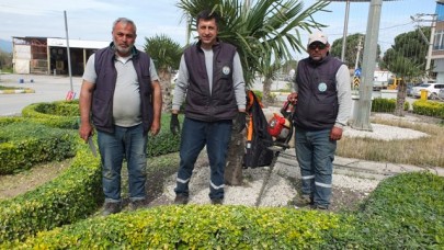 Burhaniye'de ağaç kuaförleri