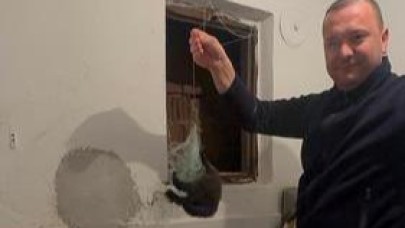Karesi’de itfaiyeden kedi kurtarma operasyonu