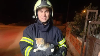 Savaştepe’de kapıya sıkışan kedi böyle kurtarıldı