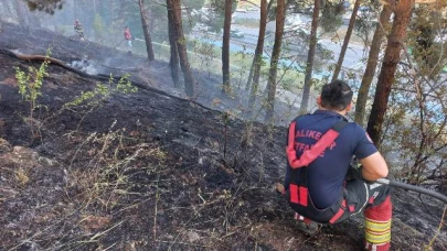 Balıkesir Değirmen Boğazı’nda orman yangını!