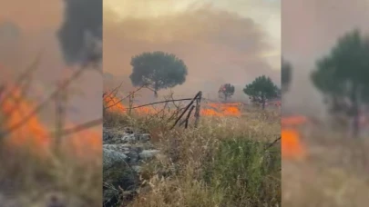 Balıkesir’de arazi yangını!