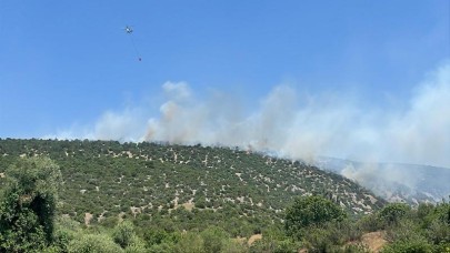 Balıkesir Karesi'de arazi yangını korkuttu