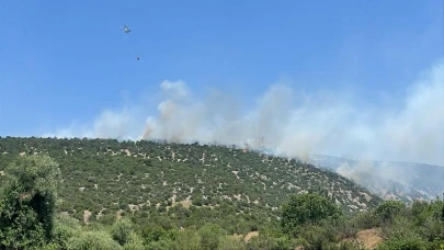 Karesi arazi yangını