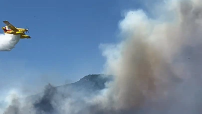 İvrindi'de 'Biçer Döver' yangını kontrol altına alındı