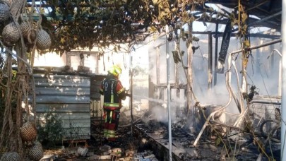 Balıkesir Pamukçu'da yangın buğday tarlasına sıçradı