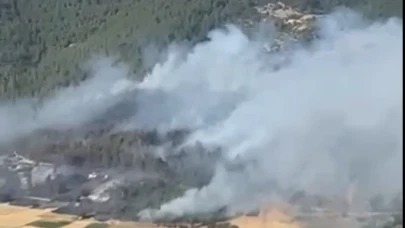 Bursa’da çıkan yangın, Balıkesir’de ormanlık alana sıçradı