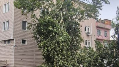 Bandırma, Erdek ve Susurluk’ta rüzgar yıktı, geçti.