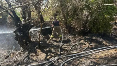 Edremit’te Zeytinlik Yangını: 18 Ağaç Zarar Gördü