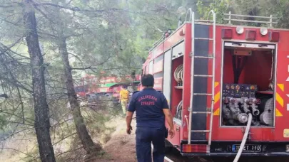 İvrindi Büyükyenice'de Orman Yangını