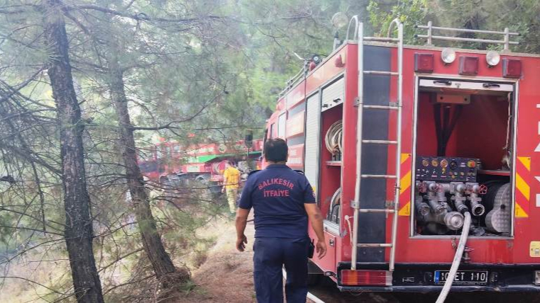İvrindi Büyükyenice'de Orman Yangını