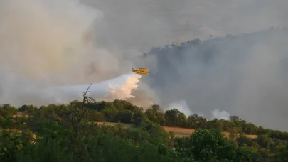 Balıkesir'deki orman yangını kontrol altına alındı