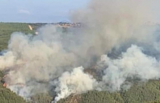 Susurluk'ta orman yangını kontrol altına alındı BALIKESİR