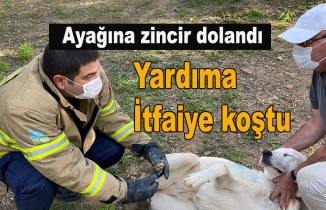 Sitenin bekçisine zincir dolandı